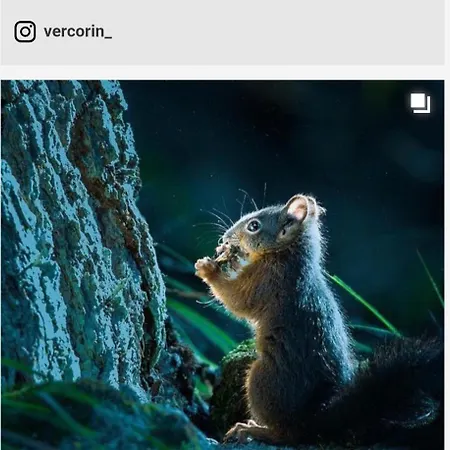 En Tranquillité à Appartement