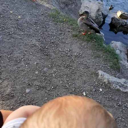 En Tranquillité à Apartamento
