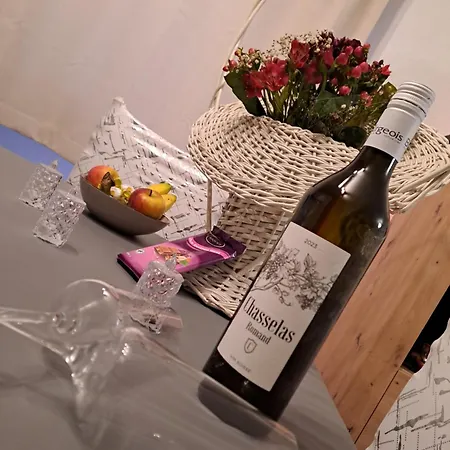 En Tranquillité à Appartement Vercorin