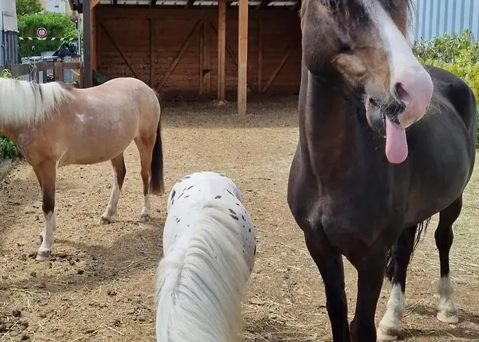 En Tranquillite A Apartmán *