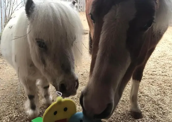 En Tranquillite A Apartmán Vercorin