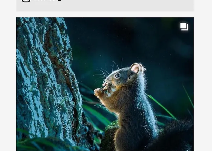 En Tranquillite A Apartmán