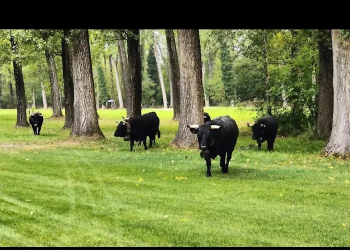 Apartmán En Tranquillite A