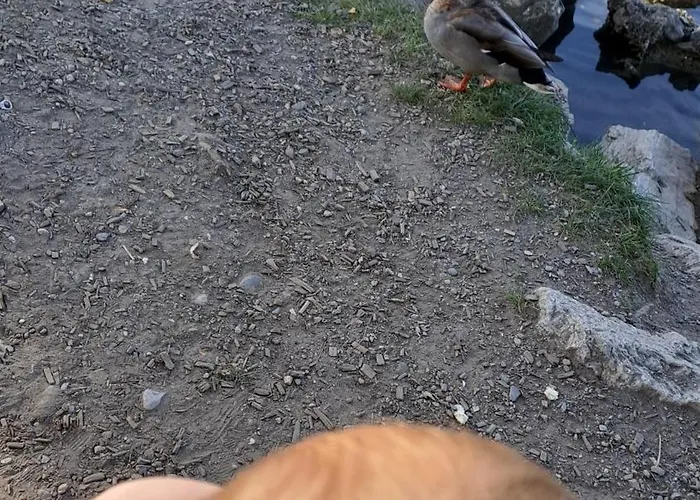 En Tranquillite A Apartmán