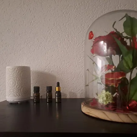 En Tranquillite A Lägenhet Vercorin