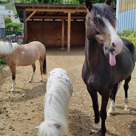 En Tranquillite A Lägenhet *