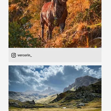 En Tranquillite A Lägenhet Vercorin