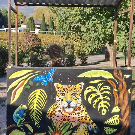 En Tranquillite A Lägenhet *